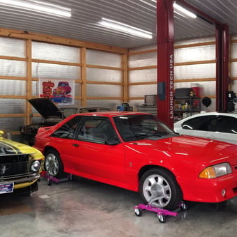Classic and Modern Cars on Dollies in Spacious Garage - Carlee from York, PA