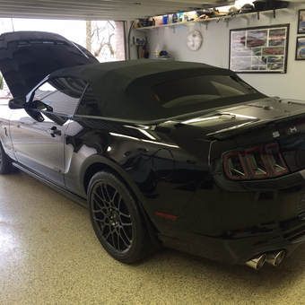 Organized Garage With Black Shelby Mustang - Geo from Pittsburgh, PA