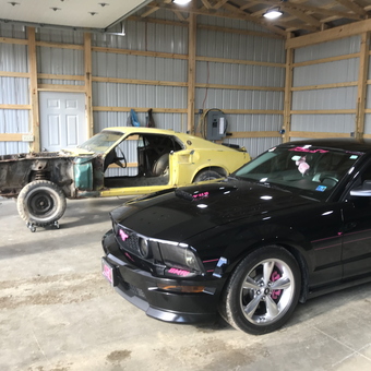 Spacious Garage With Two Mustangs and Metal Walls - Patty M from New Castle, PA
