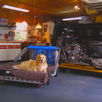 Organized Garage with Motorcycle Lift and Tool Cabinets - Oz from New Westminster, BC