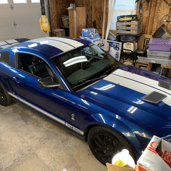 Blue Shelby GT500 Parked in Organized Garage - Tom from St. Helens, OR