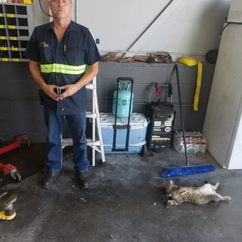 Organized garage with tools, storage, and supplies - Old man from Cave city, KY