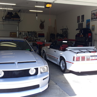 Mustang Garage with Wall Art and Tool Storage - Tom from Fairmont, WV