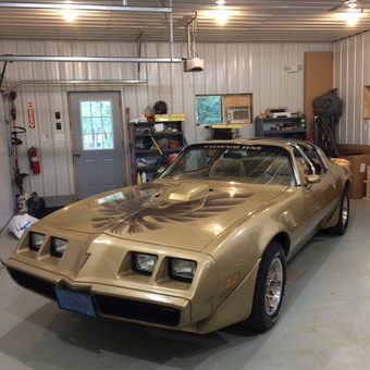 Gold Pontiac Trans Am in Metal Garage - Jerry from South range, WI