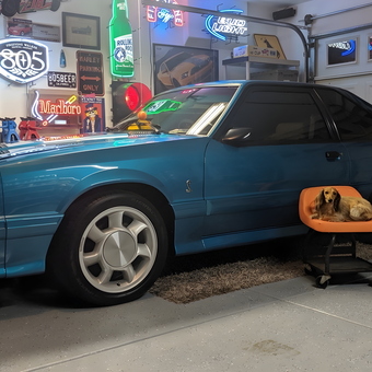 Classic Blue Mustang and Neon Garage Signs - Casey from Lompoc, CA