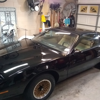 Classic Black Sports Car in Organized Garage - Scott from Orlando, FL