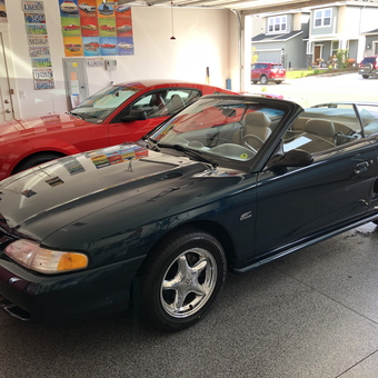 Mustang Convertibles in Clean Garage with Wall Decor - lobodog from Vancouver, WA