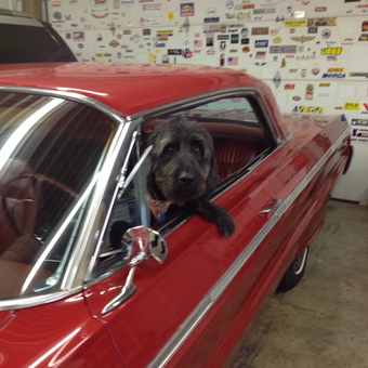 Classic Red Car in Garage with Sticker Wall - Bear from Powell, OH