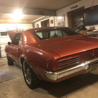 Classic Pontiac Firebird and Garage Decor - Chicken from Holtwood, PA