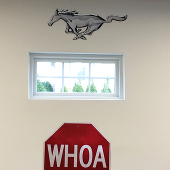 Mustang Wall Art and WHOA Stop Sign Decor - Ken from Bloomfield Hills, MI