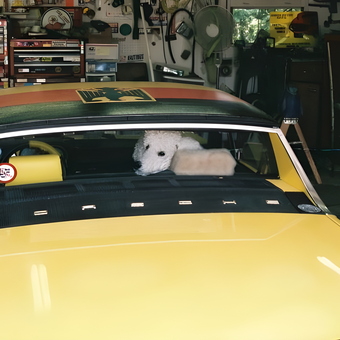 Classic Yellow Porsche in Organized Garage - Mick from Vinton, VA