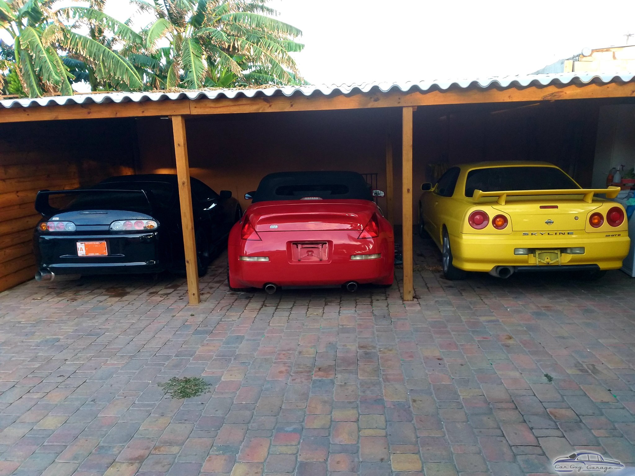 ArubaDave from Doral, FL