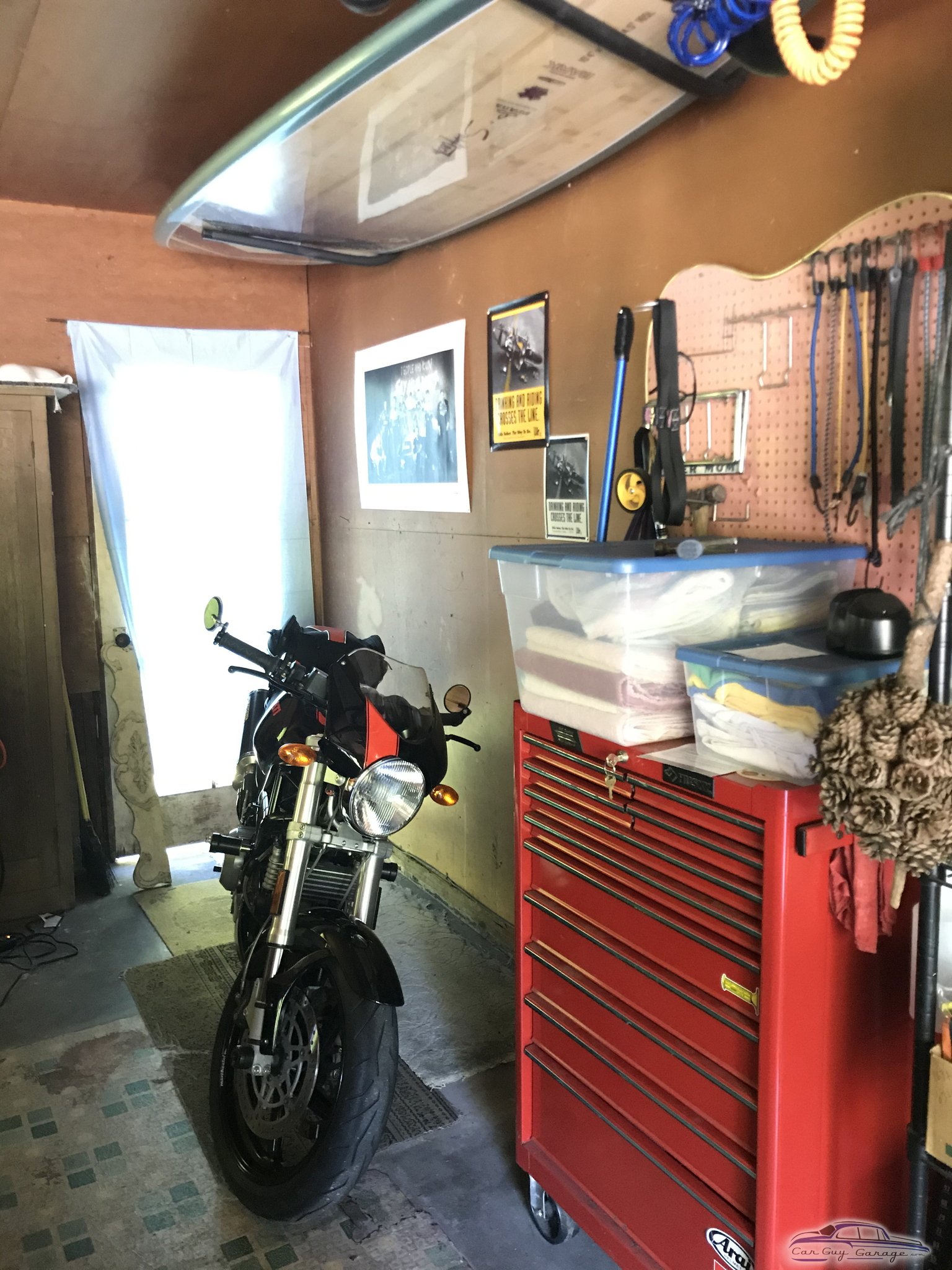 Punky from Portland, OR