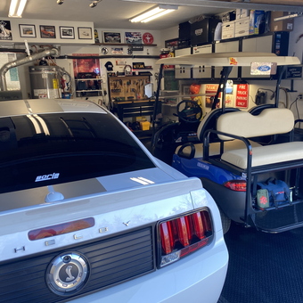 Organized Garage with Shelby and Golf Cart - Salty Dog from Pine Mountain Club, CA