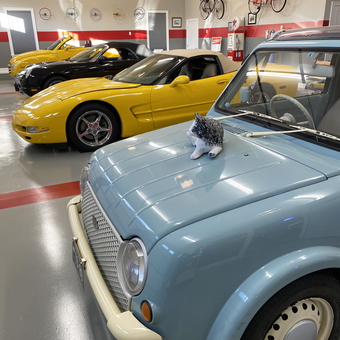 Classic Cars and Wall Decor in Stylish Garage - James from Rehoboth, DE