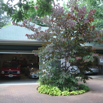 Classic Cars and Wall Signs in Spacious Home Garage - Brad from St Louis, MO