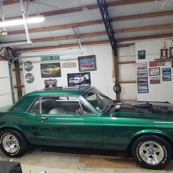 Classic Mustang, Wall Art, Trophies, and Signs - Coy from Moulton, AL