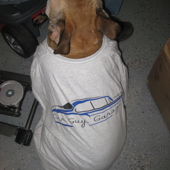 Dog Wearing Car Guy Garage T-Shirt in Workshop - Cisco's Garage from Aroda, VA