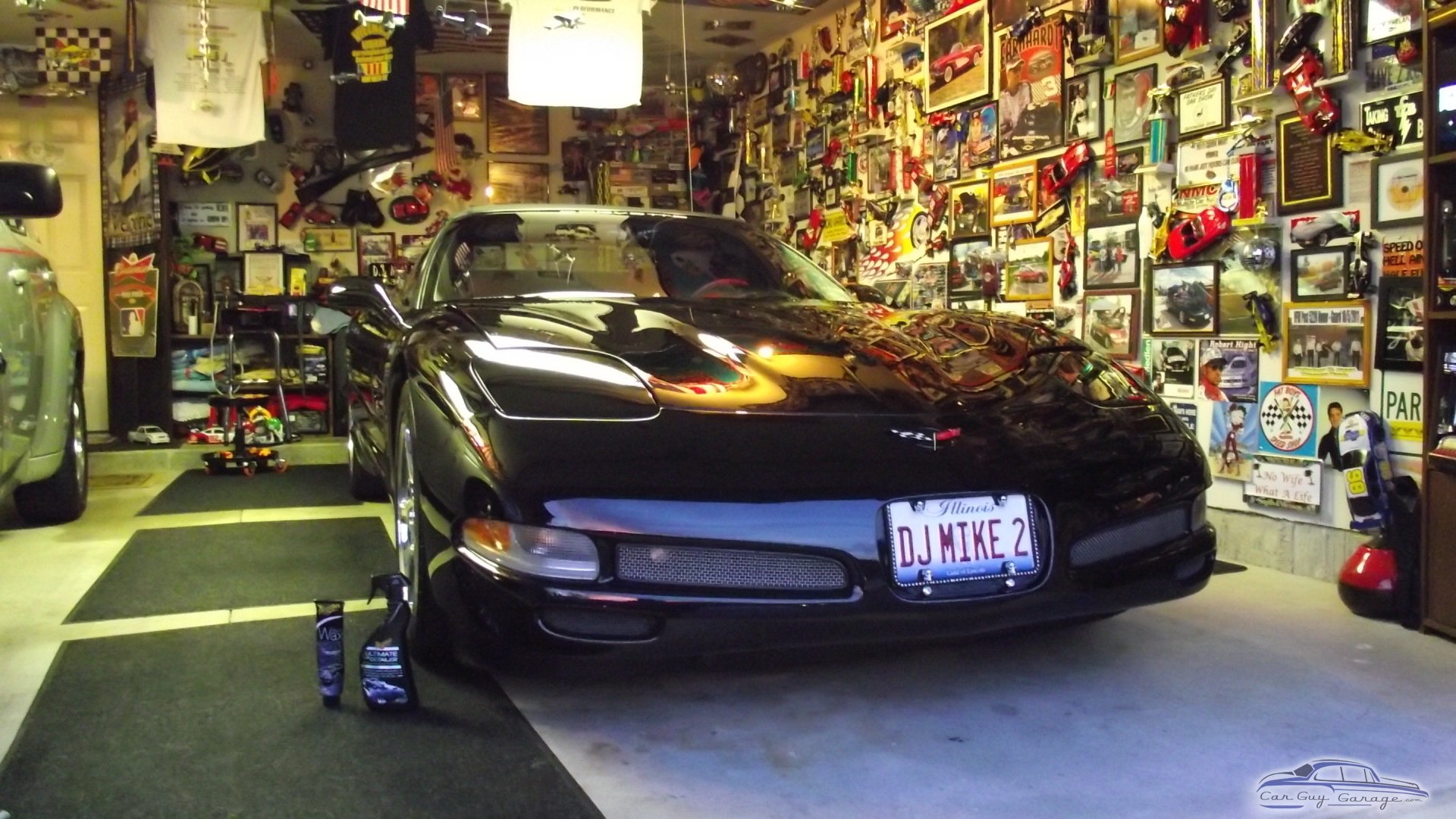 Italian Stallion from Darien, IL