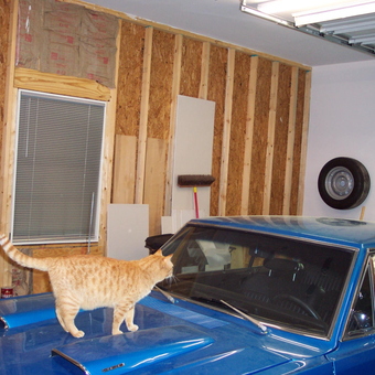 Classic Blue Car in Garage with Tools and Cat - Allen from Midlothian, VA