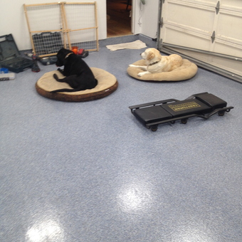 Garage with epoxy floor, creeper, and tool kits - Rik from Santa Barbara, CA