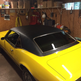 Classic Yellow Muscle Car in Organized Garage - Scott from Truro, Nova Scotia