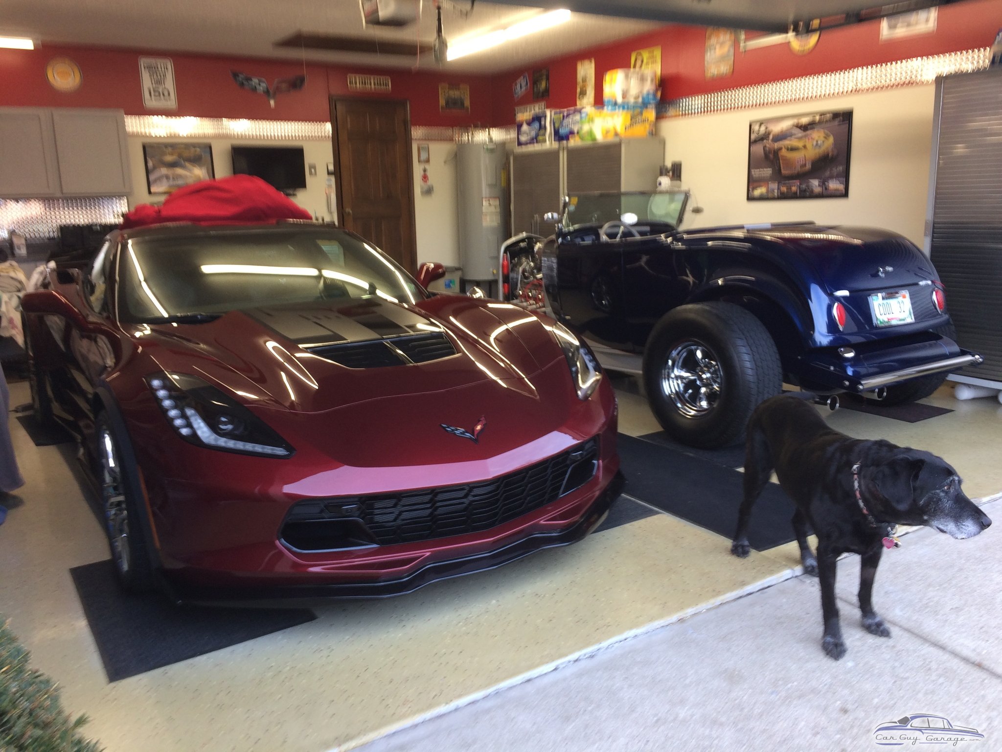 CarGuy from Indianapolis, IN