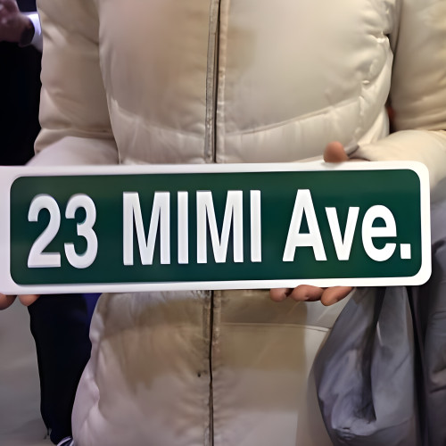 Personalized Street Sign