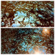 House Of Smoke Basecoat With Tears of The Gods Effects Metallic Epoxy House Of Smoke Basecoat With Tears of The Gods Effects Metallic Epoxy