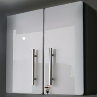 Silver Modular 2-Door Locking Garage Wall Cabinet 24x14x24