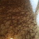 Autumn Blush Basecoat With Gold Lion Effects Metallic Epoxy Autumn Blush Basecoat With Gold Lion Effects Metallic Epoxy