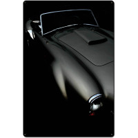 Classic Curves Metal Sign - 24" x 36"