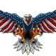 Eagle with US Flag Wing Spread Metal Sign - 29" x 18"