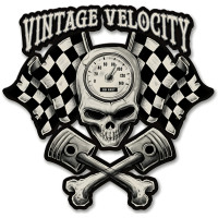 Leth200 - Vintage Velocity Skull Flags Metal Sign