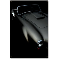 Classic Curves Metal Sign - 16" x 24"