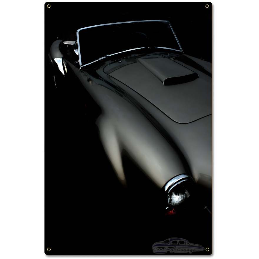 Classic Curves Metal Sign - 16" x 24"