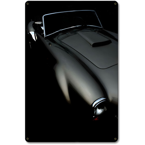 Classic Curves Metal Sign - 12" x 18"