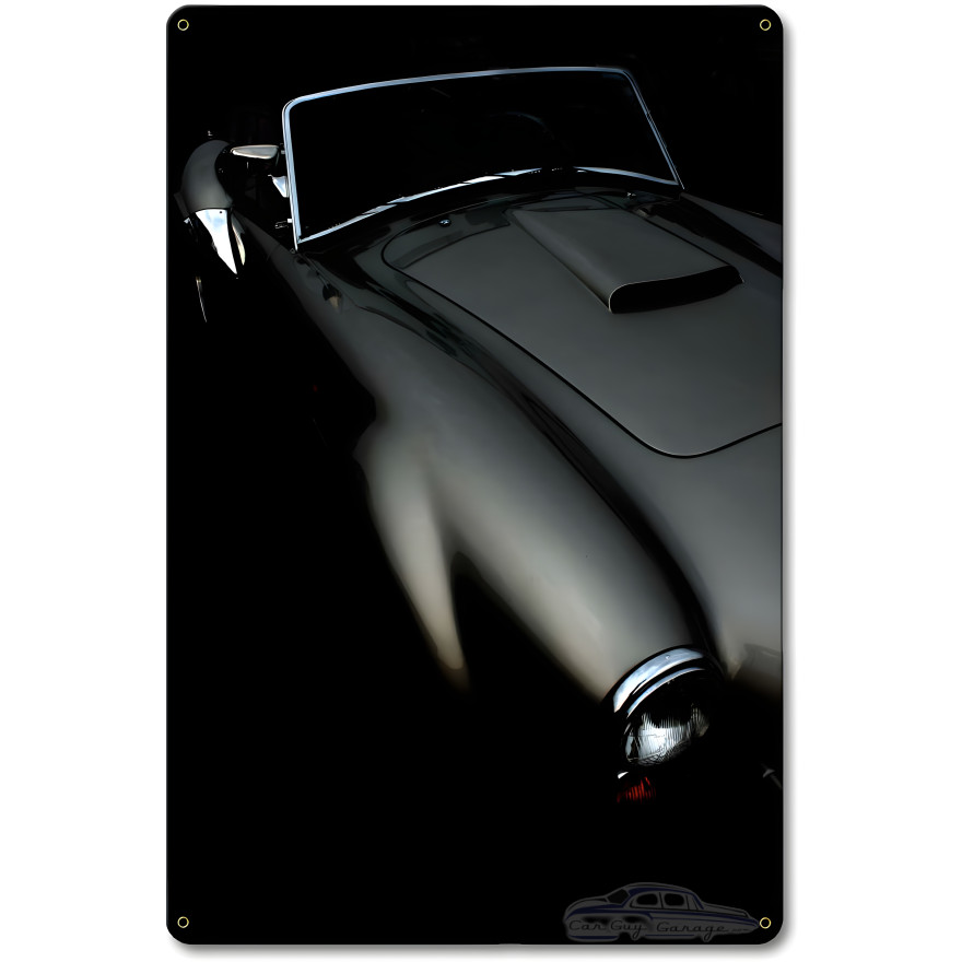 Classic Curves Metal Sign - 12" x 18"