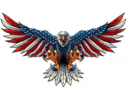 Eagle with US Flag Wing Spread Metal Sign - 21" x 12"
