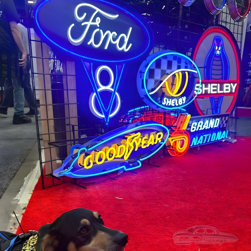 Shelby One Snake Eye Neon Sign Shelby One Snake Eye Neon Sign