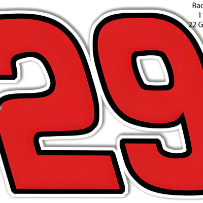 Project 29 Racing Logo 29 Race Car Metal Sign - 8