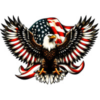 Bald Eagle with American Flag Metal Wall Art Sign - 25" x 17"