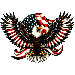 Bald Eagle with American Flag Metal Wall Art Sign - 25" x 17"