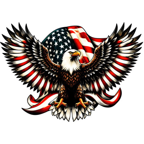 Bald Eagle with American Flag Metal Wall Art Sign - 25" x 17"