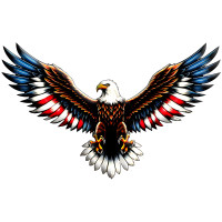 Bald Eagle USA Flag Wings Metal Wall Art Sign - 24" x 15"
