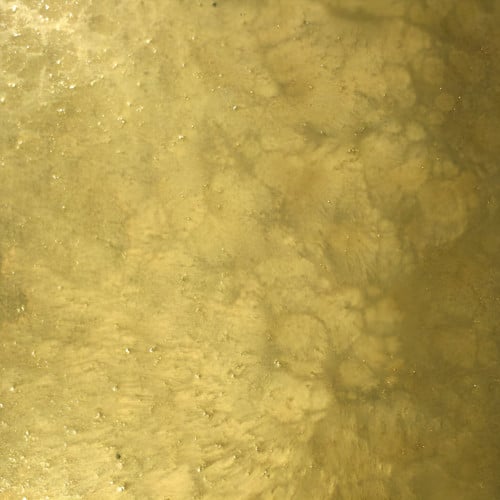 Gold Lion Basecoat with Gold Lion Effects Metallic Epoxy 