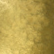 Gold Lion Basecoat with Gold Lion Effects Metallic Epoxy Gold Lion Basecoat with Gold Lion Effects Metallic Epoxy