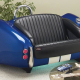Cool Blue Cobra with Black Leather Couch
