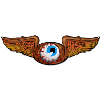 Flying Eye Metal Sign - 35" x 10"