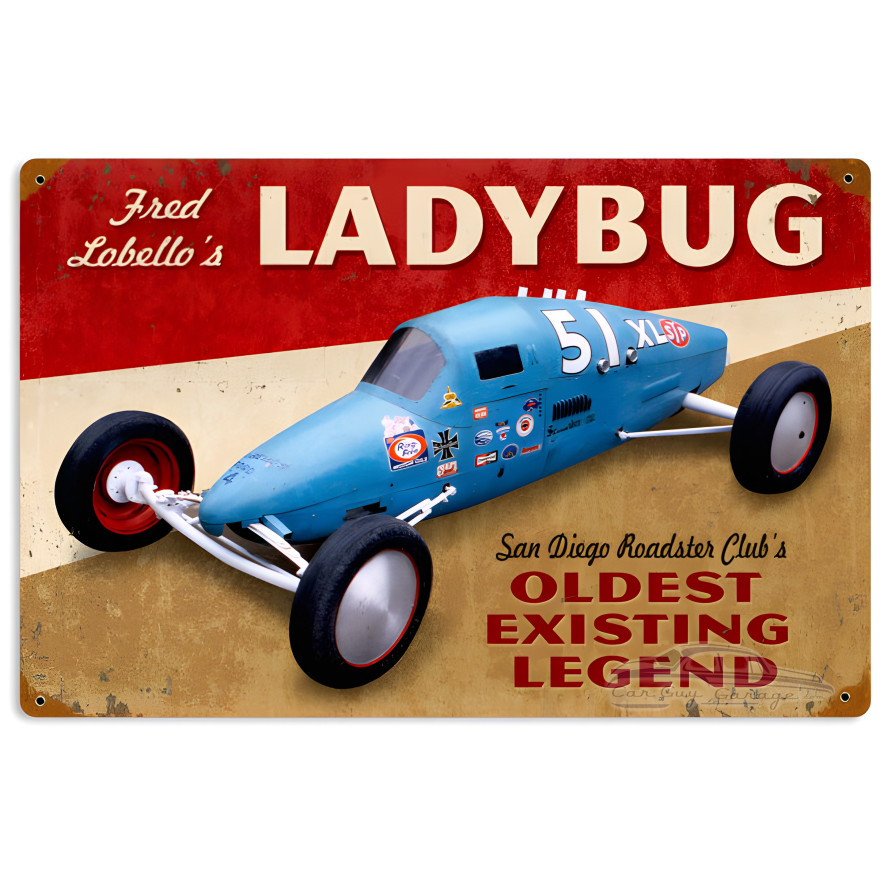 Ladybug Metal Sign - 18" x 12"